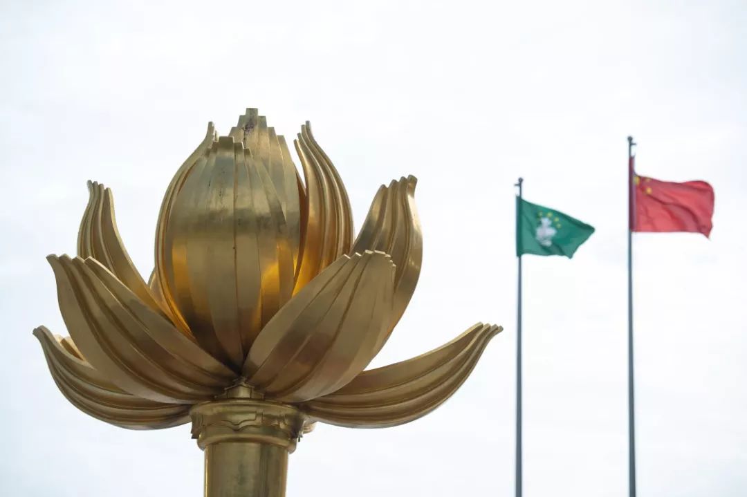 这是澳门金莲花广场上的《盛世莲花》雕塑.新华社记者 张金加 摄