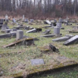 斯洛伐克一犹太公墓遭大规模破坏 警方：骇人听闻