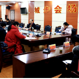 城步苗族自治县政协委员分组讨论积极建言献策