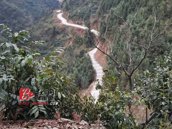 路通大山深处.gif