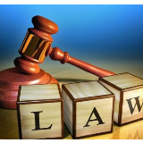 辽宁宋琦宋鹏涉黑案53人被判刑