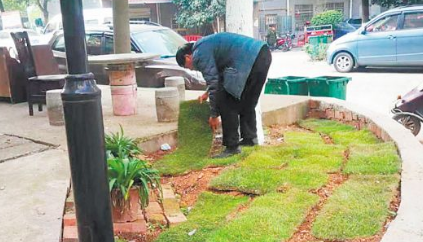 天心区新开铺街道裸露黄土披绿装