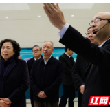 湖南省人大常委会视察国网湖南电力