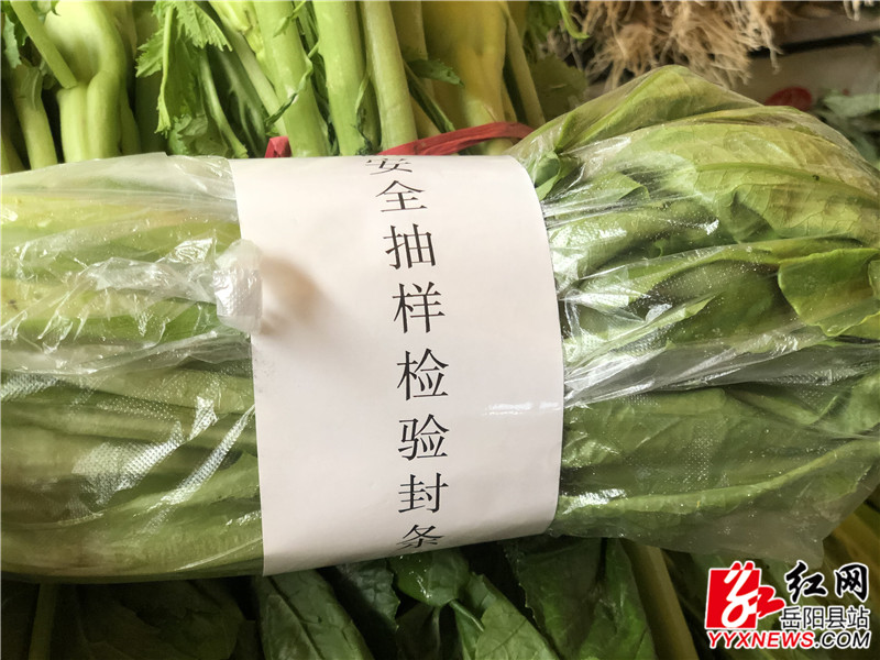 IMG_7208.jpg IMG_7208.jpg