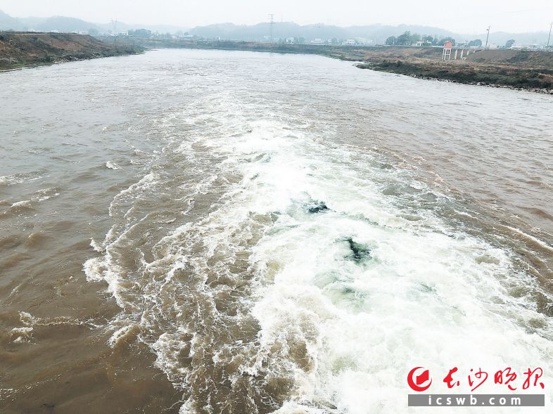 　　19日上午10时左右，捞刀河赤石河水闸开启，湍流倾泻而下，对下游进行补水。     长沙晚报全媒体记者 钱娟 摄