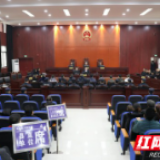 凤凰法院集中宣判4起涉恶犯罪案 20名被告人获刑