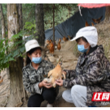 村民回乡走上致富路 雪峰村文旅扶贫成果凸显