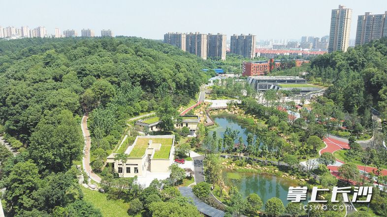 　　高空俯瞰，狮子山体育公园宛若一颗绿色明珠。一系列绿色建设项目的铺排，为城东南频添风景。刘树升 摄
