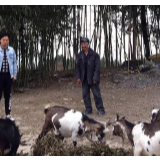 谢朝君:用实干兑现“不走过场、真情帮扶”承诺