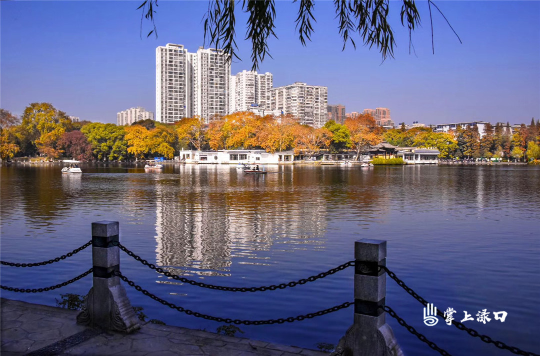 【圖：朱超英  文：劉慧】
公園里被大自然色彩填滿的美景與公園外林立的高樓完美融合,。