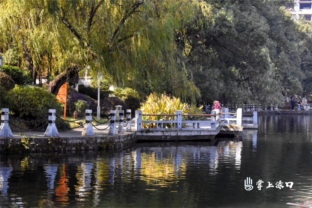 【圖：朱超英  文：劉慧】
在湖邊漫步,，感受這份愜意~公園美景與冬日暖陽(yáng)，相看兩不厭,。