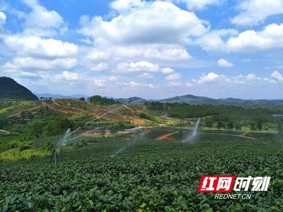 宜章：筹资2.644亿元推进水利建设 进度为83%