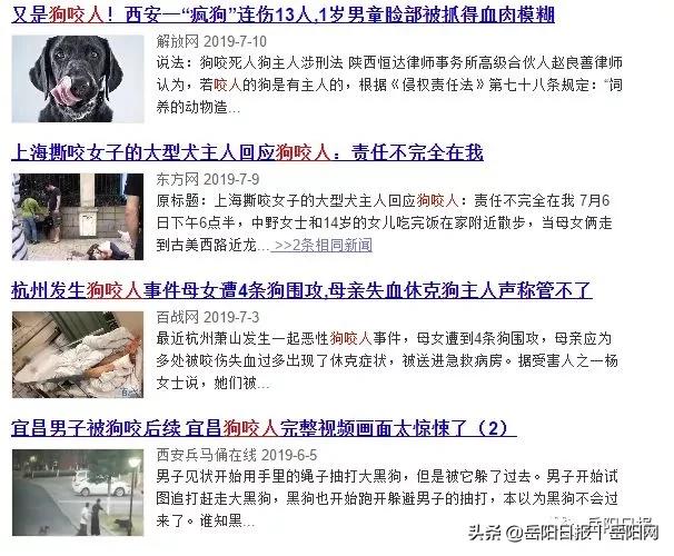 岳阳最新养犬令正式通过，“铲屎官们”看过来