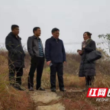北塔区：河道常态治理 实现岸绿水清