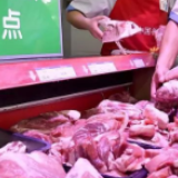 担心“猪在囧途”？ 如今……