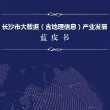 长沙市大数据（含地理信息）产业发展蓝皮书、产业链“两报告”通过专家评审