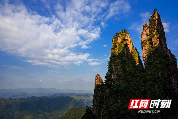 微视频丨奇秀莽山 生态画卷