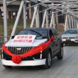 逆势飞扬！城陵矶港滚装汽车业务首破10万辆记录