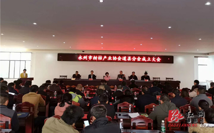 会议现场.jpg 会议现场.jpg