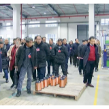 “两会”代表委员集中视察重点项目建设