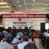 涟源农商银行顺利召开股东大会第五次会议