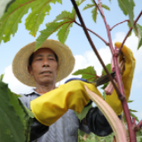 帮扶在一线 | “一户一产业” 铺就新田人民幸福路