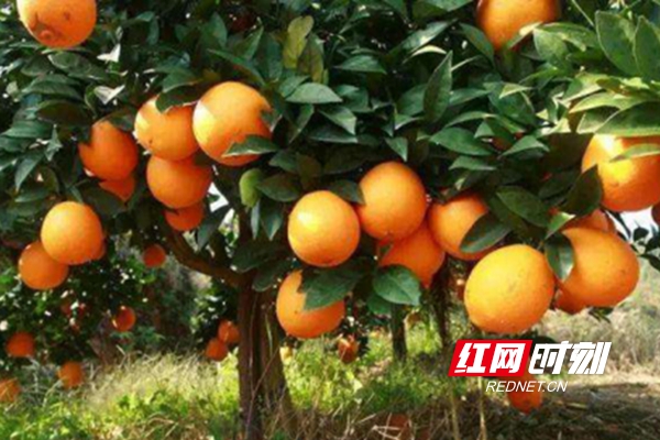 1577430652(1)_副本.jpg