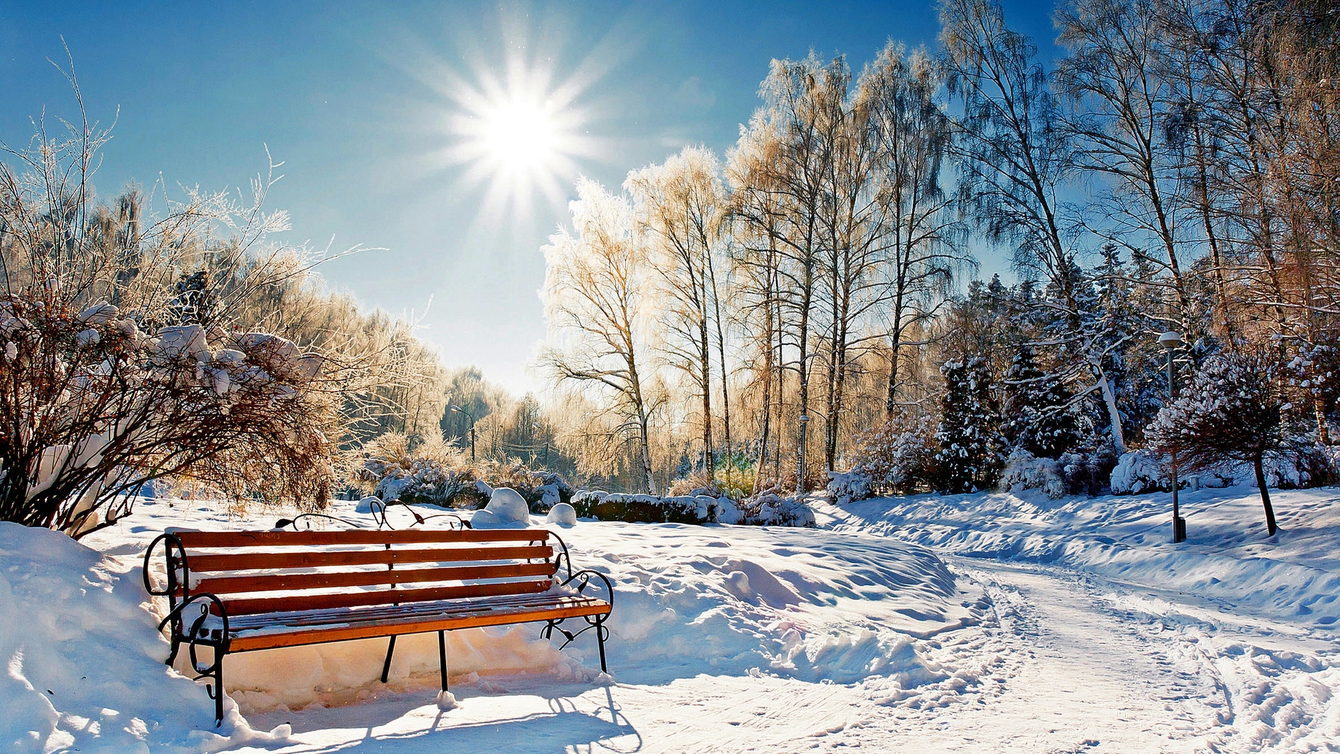 诗歌丨刘晖雪就像梦离开时才有影子