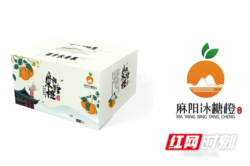 全新的"麻阳冰糖橙"品牌形象及其品牌包装.