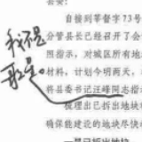 长安剑：莘县书记一怒为“汪峰”，是小题大做吗？