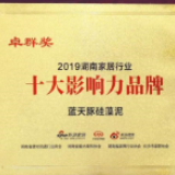 蓝天豚硅藻泥三度蝉联“卓群奖” 湖南家居行业峰会看蓝天豚“功守道”