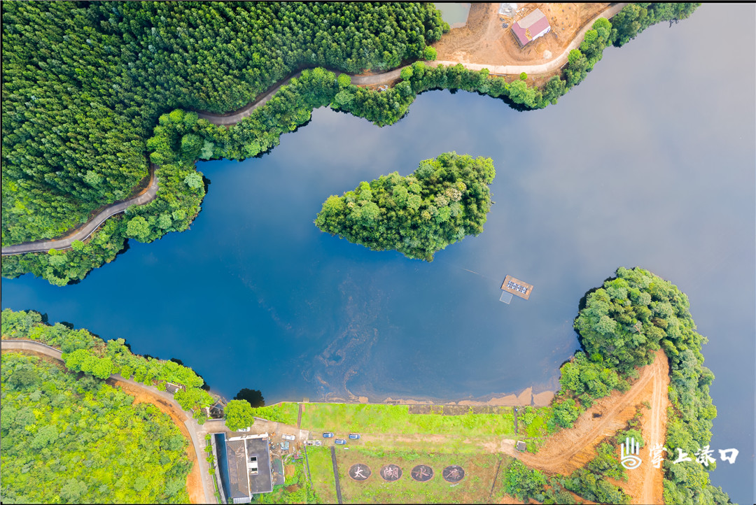 【图：咏洲  文：肖幸】 
水库四周植被丰富，有青杉、翠竹、苍松等等，春来百花争艳、虫鸟争鸣。