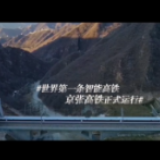这一年的奋斗，时间终将证明
