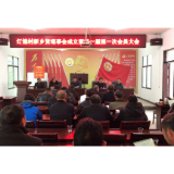 冷水滩区花桥街镇:灯塘村新乡贤理事会成立
