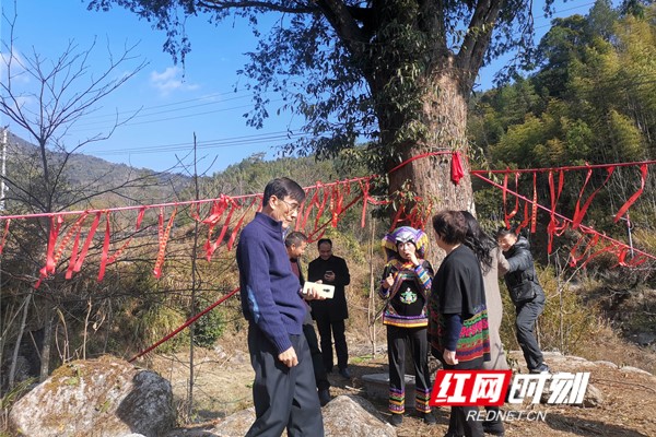 微信图片_20191231100215.jpg