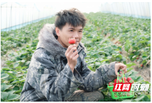 台湾青年扎根常德 在柳叶湖畔发展“甜蜜事业”