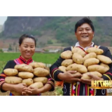 脱贫攻坚路上，多些“农民院士”这等知心人