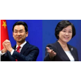 呵呵、甩锅、蚍蜉撼树……这一年，外交部翻译太难了