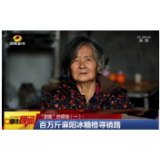 张扬橙心——张新发订购百万扶贫冰糖橙