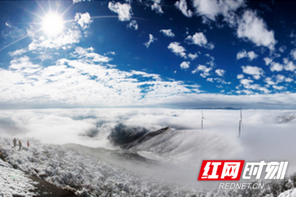 ?2.jpg