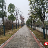 念好“融”字诀 跑出基层治理加速度