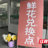 和浓烟说再见！益阳殡葬改革移风易俗见成效