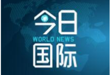 专家称林火已造成澳大利亚新州至少4.8亿只野生动物丧生