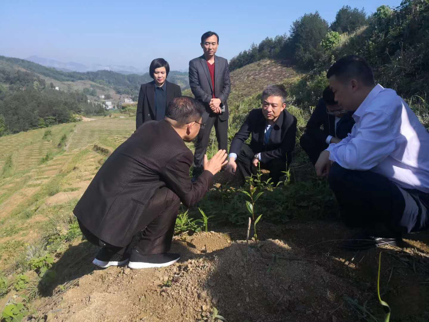 图片3.png
