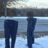 走！一起去“极地”见大世面