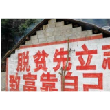 调高脱贫收入标准，是福气更是底气