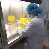 结核快速诊断检测技术 有助结核患者早期诊断