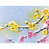 小寒·长卷丨梅花先趁小寒开,到诗词里踏雪寻梅