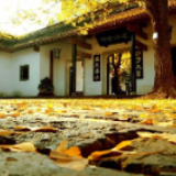 “千古湘江一寸心”  委员建议长沙建设世界文创名城