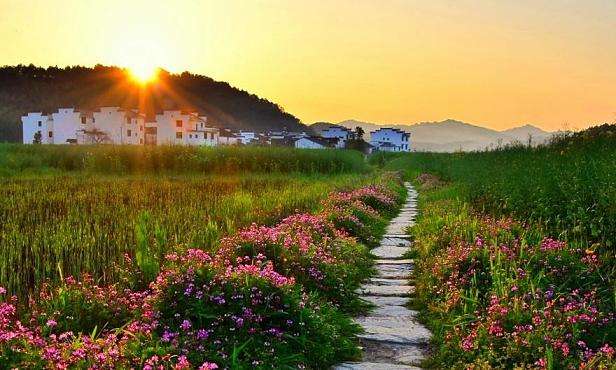 timg (15).jpg timg (15).jpg